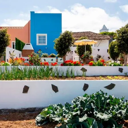 Ruhiges Landhaus Mit Meerblick - F7187 - #92241 Hébergement de vacances Garachico (Tenerife)